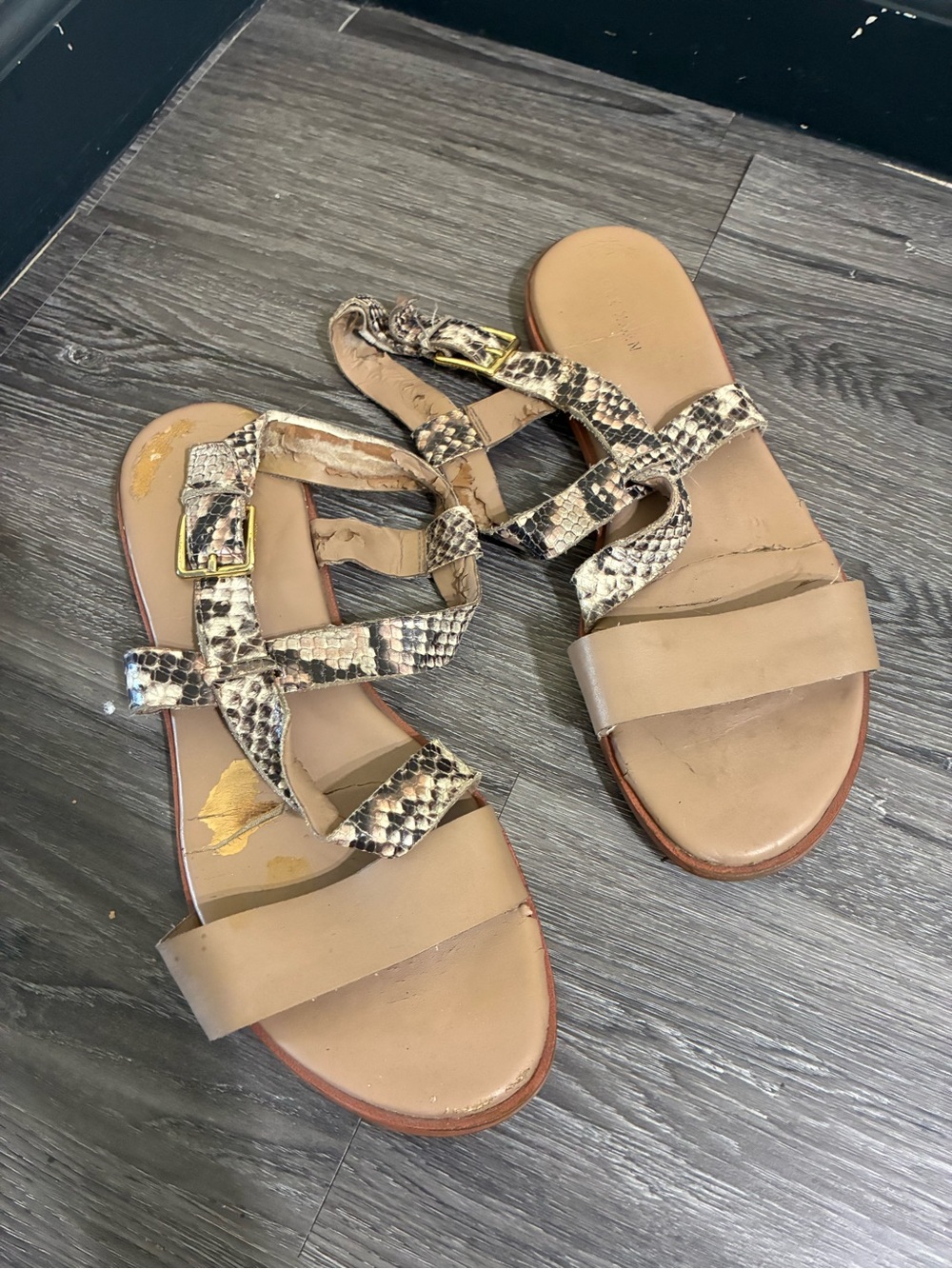 Cole Haan Beige Tan Snake-Print Strappy Slide Sandals